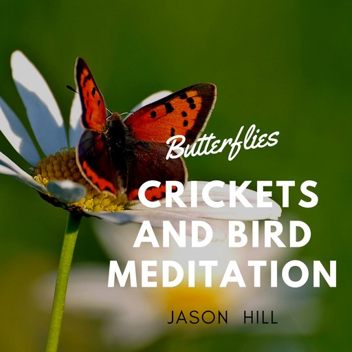 Butterflies Crickets and Birds Meditation, Jason Hill