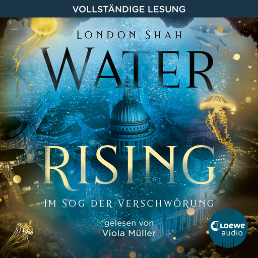Water Rising (Band 2) - Im Sog der Verschwörung, London Shah