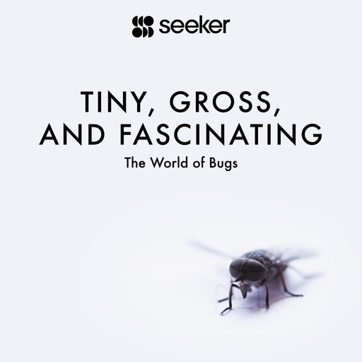 Tiny, Gross, and Fascinating, Seeker
