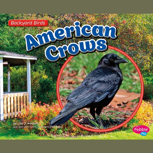 American Crows, Lisa Amstutz