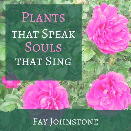 Plants that Speak Souls that Sing, Fay Johnstone