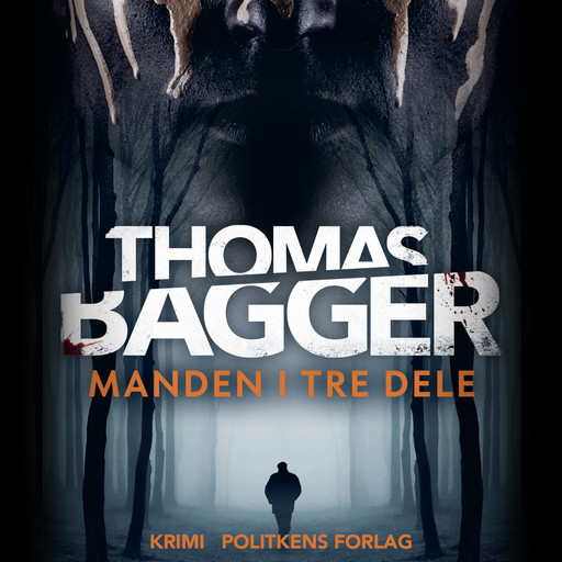 Manden i tre dele, Thomas Bagger