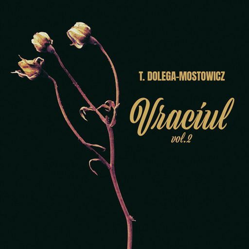 Vraciul, vol. 2, Tadeusz Dołęga-Mostowicz