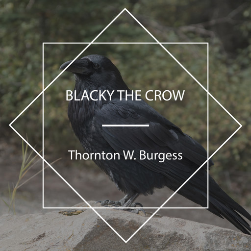 Blacky the Crow, Thornton W. Burgess