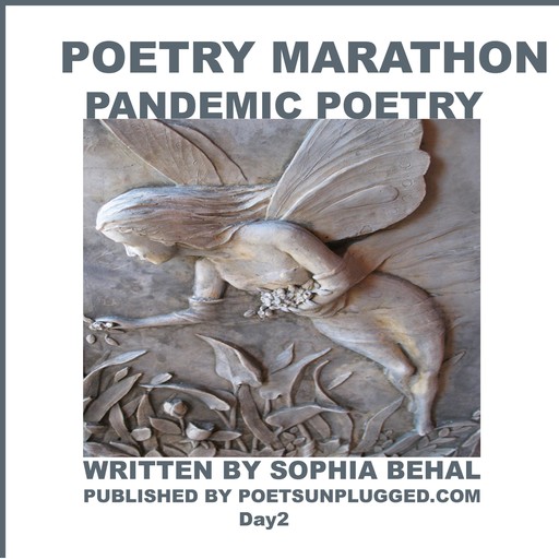 A Poetry Marathon, Sophia Behal