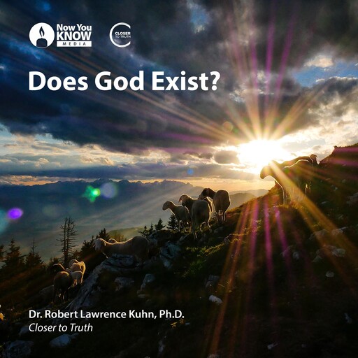 Does God Exist?, Robert Lawrence Kuhn