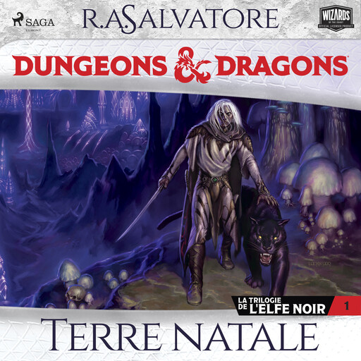 La Trilogie de l'Elfe noir – tome 1 – Terre natale, R.A. Salvatore