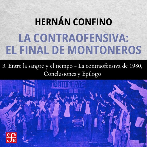 Entre la sangre y el tiempo, La contraofensiva de 1980, Conclusiones y Epílogo - La contraofensiva - El final de montoneros, Parte 3, Hernán Confino