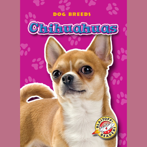 Chihuahuas, Sara Green