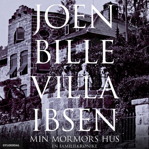 Villa Ibsen, Joen Bille