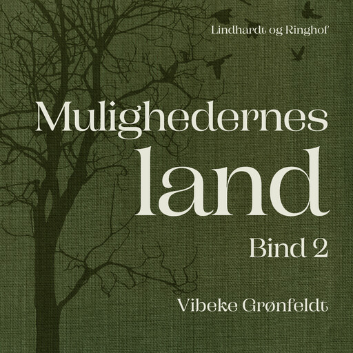 Mulighedernes land. Bind 2, Vibeke Grønfeldt