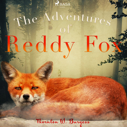 The Adventures of Reddy Fox, Thornton W.Burgess