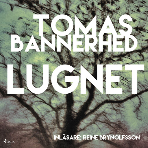 Lugnet, Tomas Bannerhed