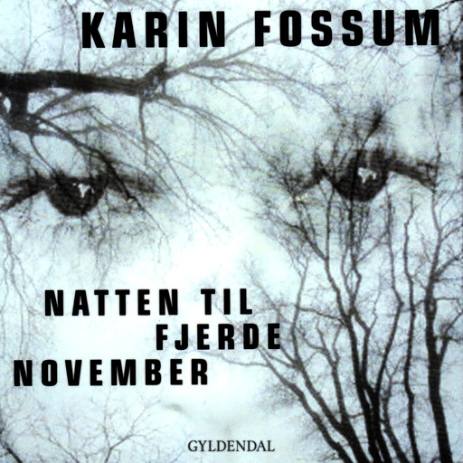 Natten til fjerde november, Karin Fossum