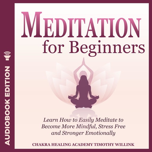 Meditation for Beginners, Timothy Willink