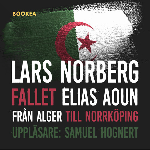 Fallet Elias Aoun, Lars Norberg