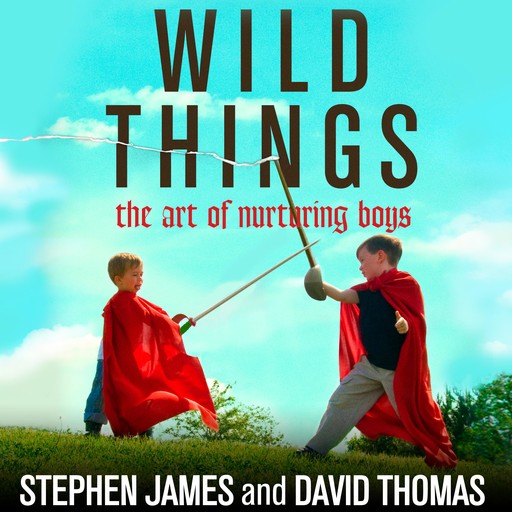 Wild Things, David Thomas, Stephen James