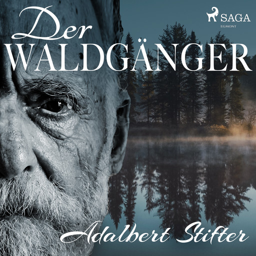 Der Waldgänger, Adalbert Stifter