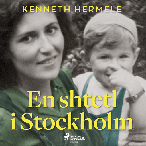 En shtetl i Stockholm, Kenneth Hermele