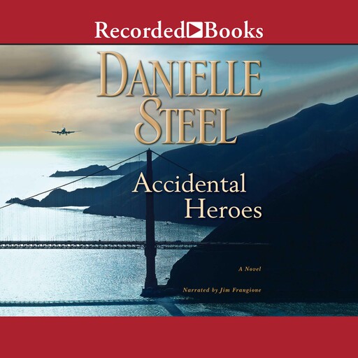 Accidental Heroes, Danielle Steel