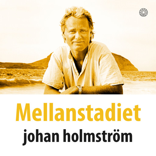 Mellanstadiet, Johan Holmström