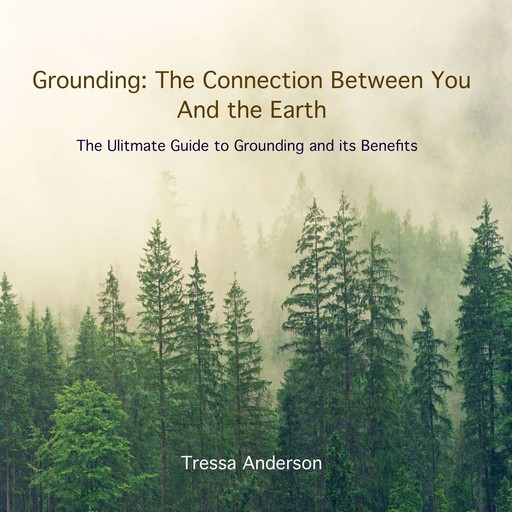 Grounding: The Connection Between You and the Earth, Tressa Anderson
