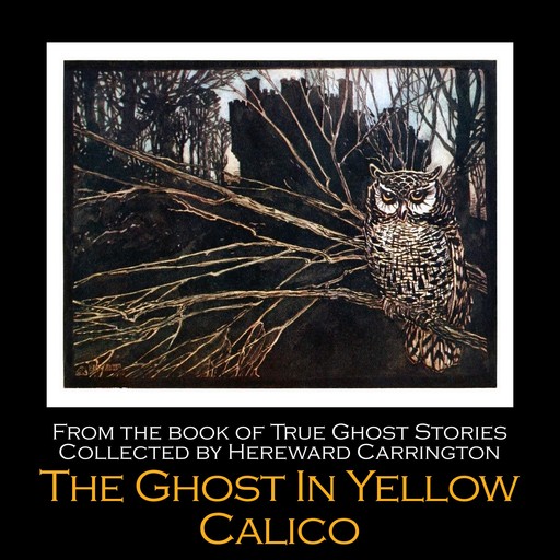 The Ghost in Yellow Calico, Hereward Carrington
