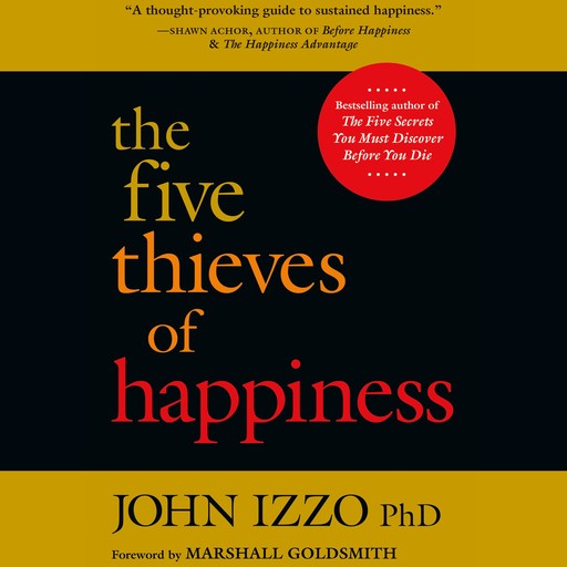 The Five Thieves of Happiness, John B. Izzo