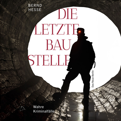 Die letzte Baustelle - Authentische Kriminalfälle, Band 3 (ungekürzt), Bernd Hesse