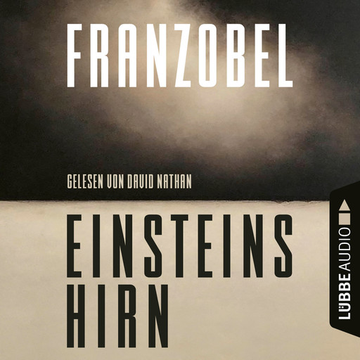 Einsteins Hirn (Ungekürzt), Franzobel