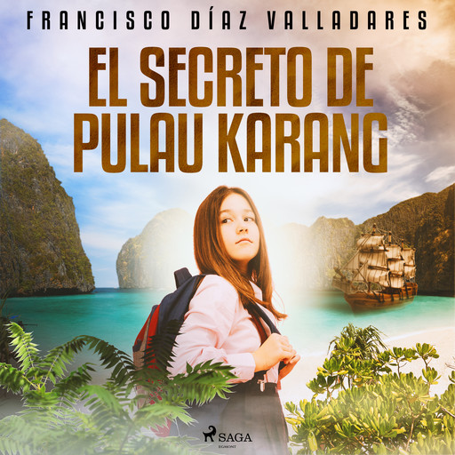 El secreto de Pulau Karang, Francisco Díaz Valladares
