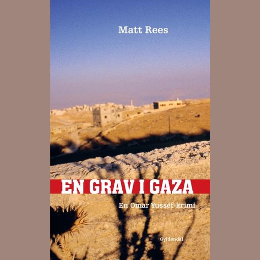 En grav i Gaza, Matt Rees