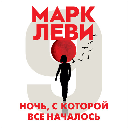 Ночь, с которой все началось, Марк Леви