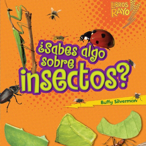 ¿Sabes algo sobre insectos? (Do You Know about Insects?), Buffy Silverman