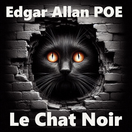 Le Chat Noir, Edgar Allan Poe