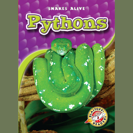 Pythons, Colleen Sexton
