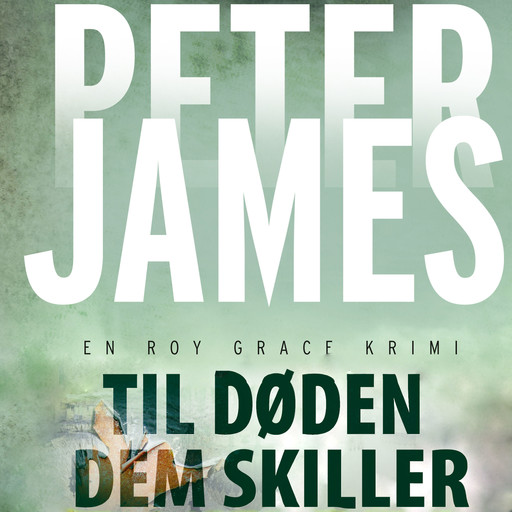 Til døden dem skiller, Peter James