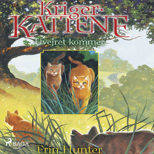 Krigerkattene 4: Uvejret kommer, Erin Hunter