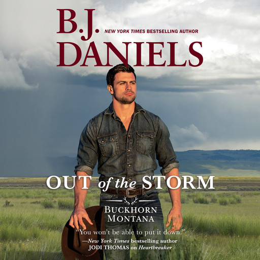 Out of the Storm, B.J.Daniels