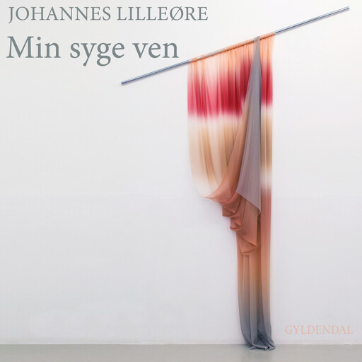 Min syge ven, Johannes Lilleøre