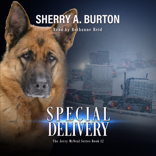 Special Delivery, Sherry A. Burton
