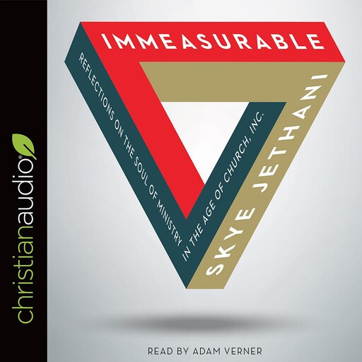 Immeasurable, Skye Jethani