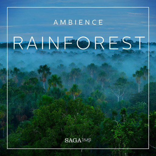Ambience - Rainforest, Rasmus Broe