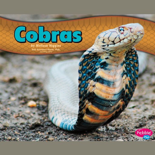 Cobras, Melissa Higgins