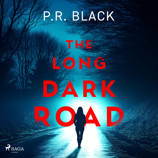 The Long Dark Road: A gripping, atmospheric thriller about how far a mother will go, P.R. Black