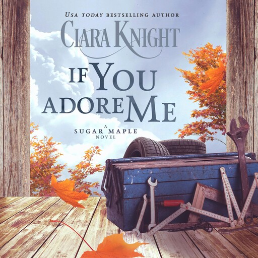If You Adore Me, Ciara Knight