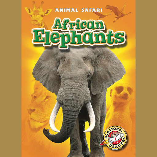 African Elephants, Kari Schuetz