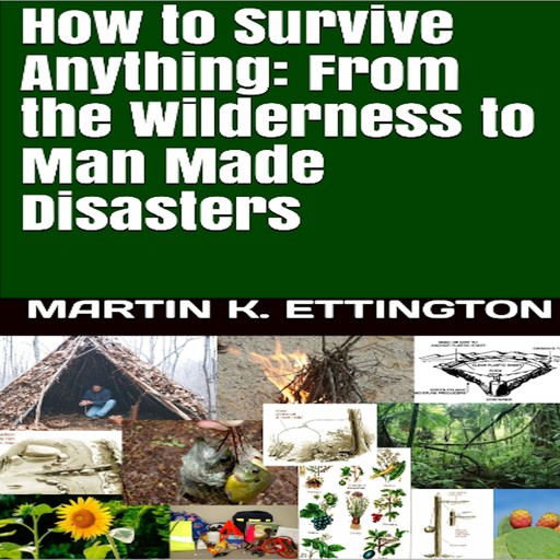How to Survive Anything From the Wilderness to Man Made Disasters, Martin K. Ettington