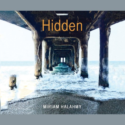 Hidden, Miriam Halahmy
