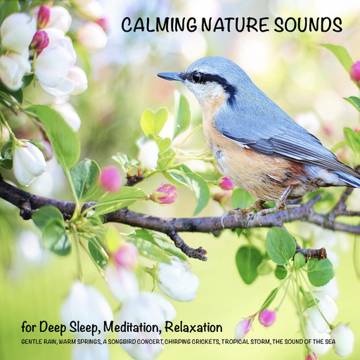 Calming Nature Sounds (without music) for Deep Sleep, Meditation, Relaxation, Yella A. Deeken